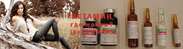 амф Ельня