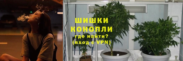 амф Ельня