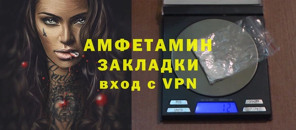 амф Ельня