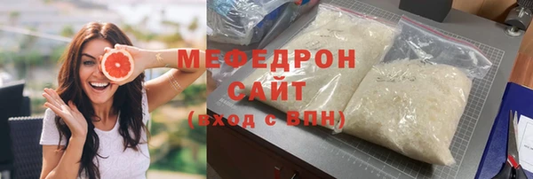 амф Ельня