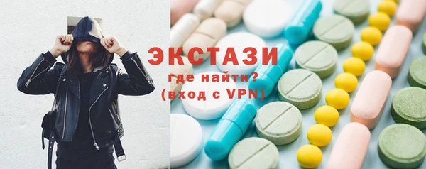 амф Ельня