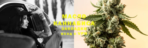 амф Ельня