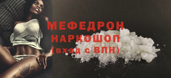 амф Ельня