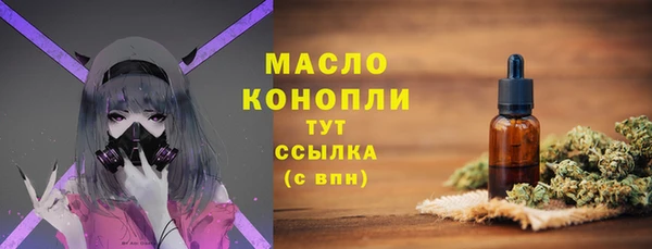 амф Ельня