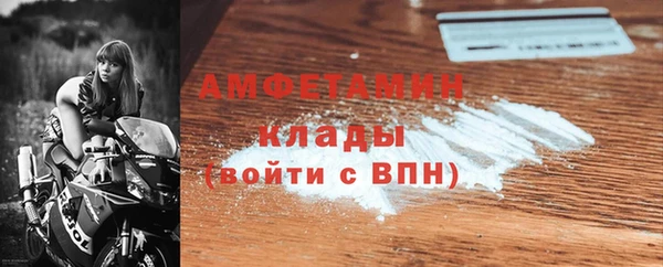 амф Ельня