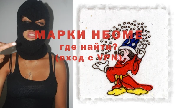 амф Ельня