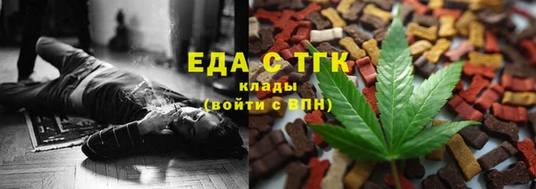 амф Ельня
