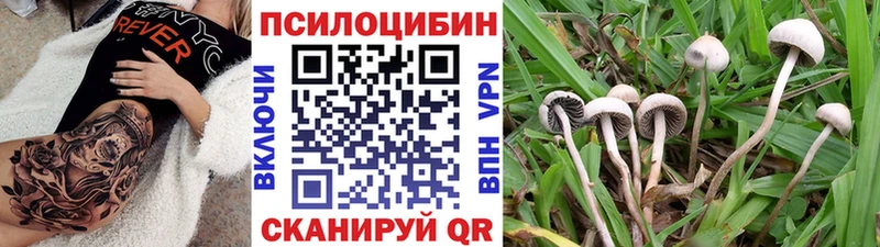 Галлюциногенные грибы Psilocybine cubensis  Купить  Сосногорск 